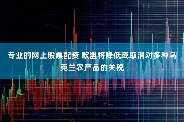专业的网上股票配资 欧盟将降低或取消对多种乌克兰农产品的关税