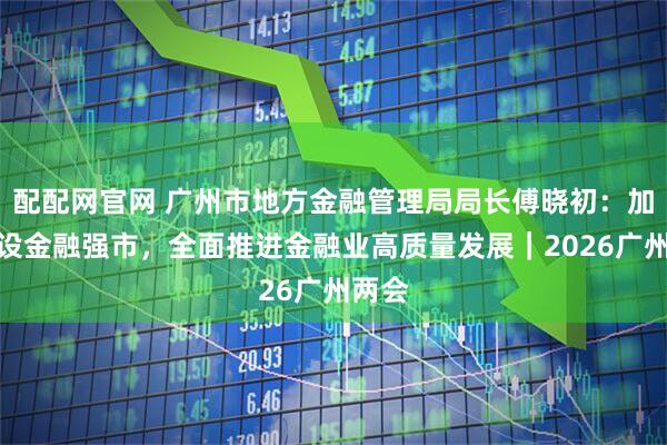 配配网官网 广州市地方金融管理局局长傅晓初：加快建设金融强市，全面推进金融业高质量发展｜2026广州两会